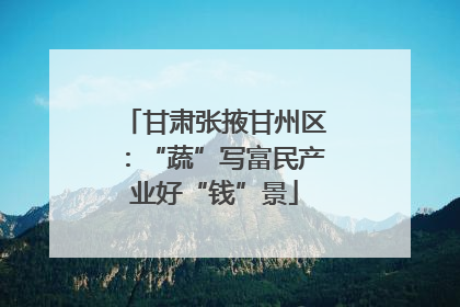 甘肃张掖甘州区：“蔬”写富民产业好“钱”景
